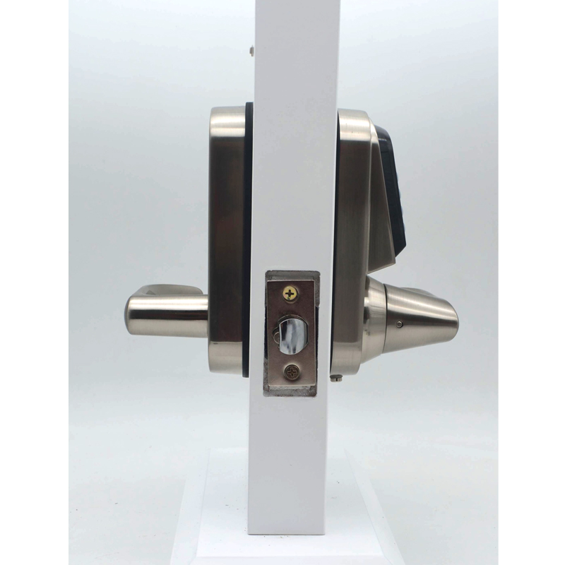 Kunci Pintu Digital TTlock BLE - Door Lock ulasan dan harga