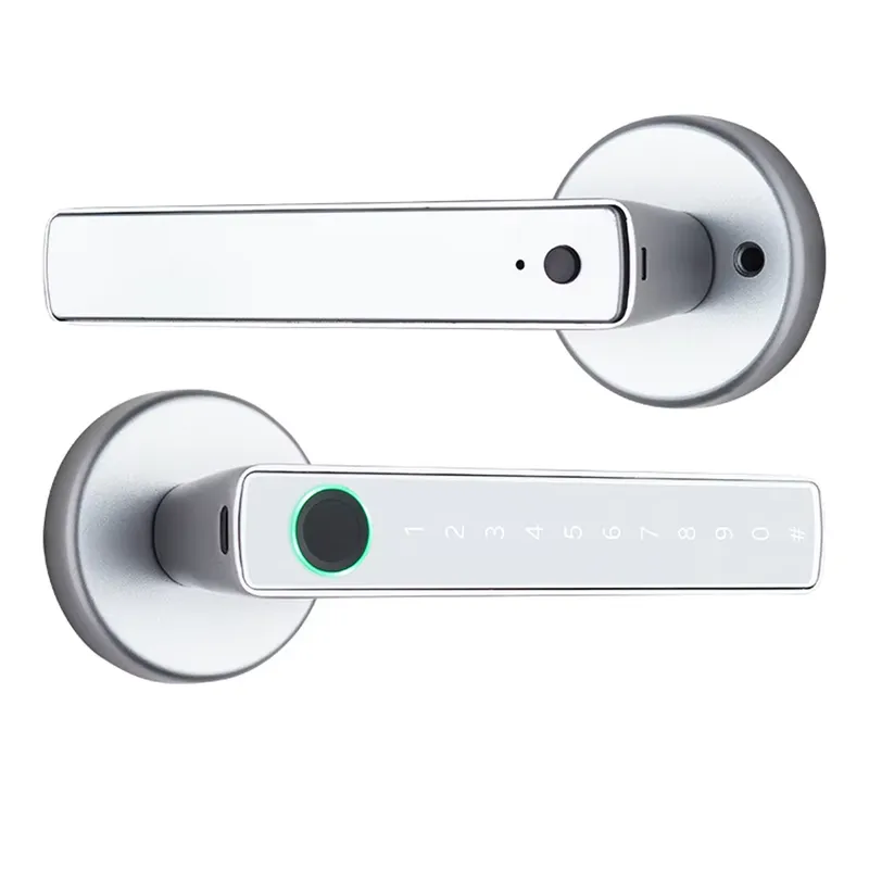 Gagang Pintu Interior Elektron - Door Handle ulasan dan harga